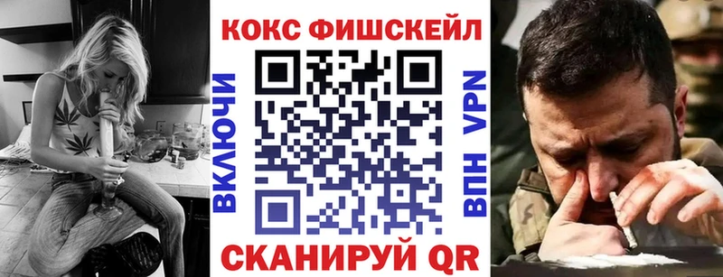 МЕГА онион  наркотики  Злынка  Cocaine Fish Scale 