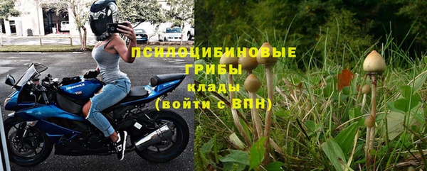 бошки Вязьма