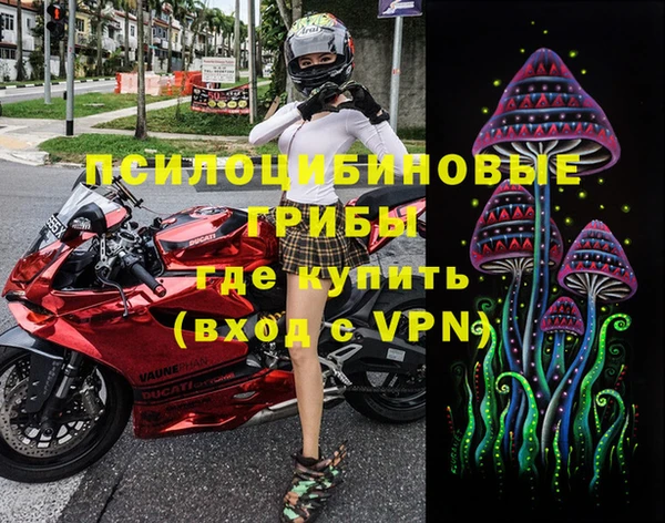 ALPHA PVP Вяземский