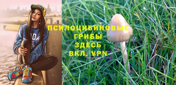 ALPHA PVP Вяземский